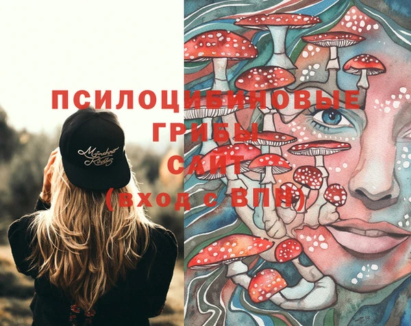амф Магас