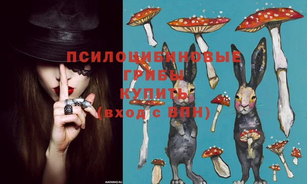 амф Магас