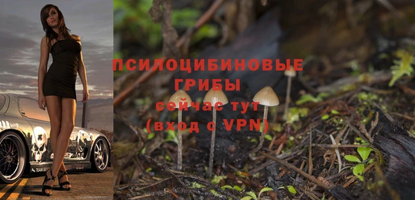 амф Магас