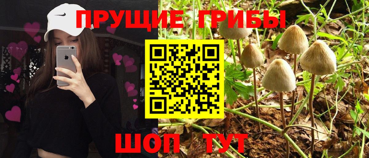 Галлюциногенные грибы MAGIC MUSHROOMS Чапаевск
